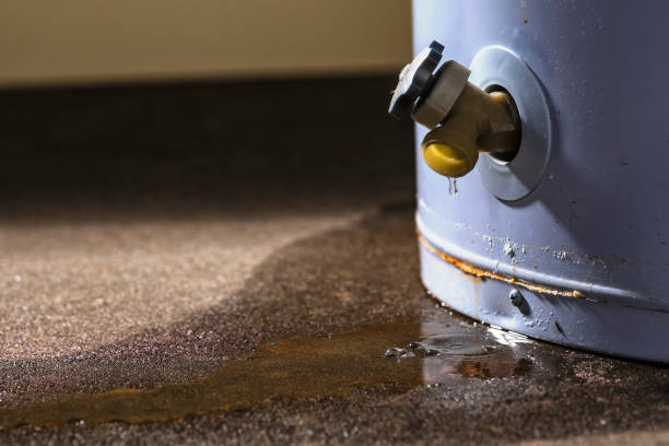 Best Flood restoration services  in Elizabeth, NJ