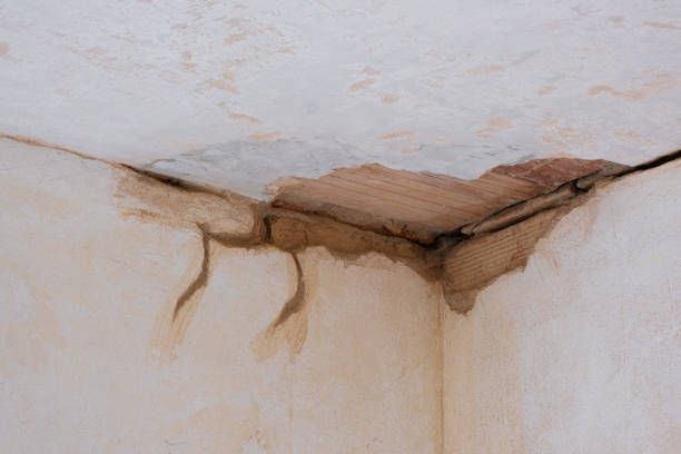 Best Water damage restoration services  in Elizabeth, NJ