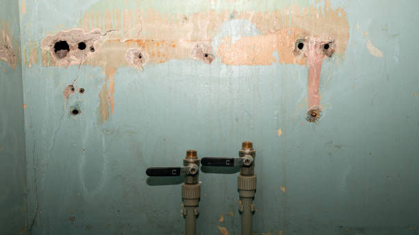 Best Water damage restoration near me  in Elizabeth, NJ