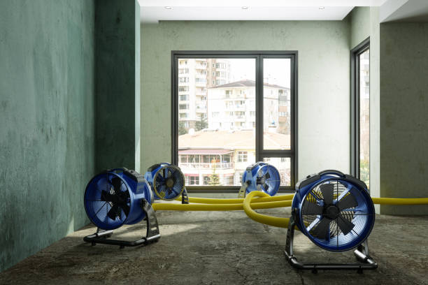 Best Sewage cleanup and water damage restoration  in Elizabeth, NJ