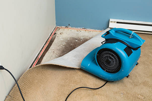 Fire Damage Restoration in Elizabeth, NJ